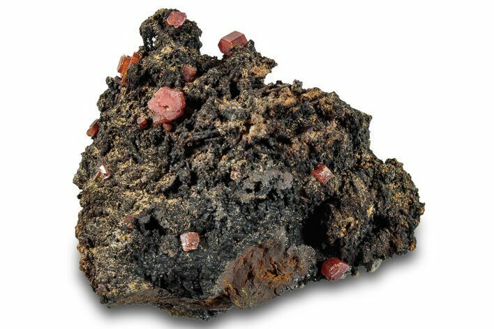 Small Red Vanadinite Crystals on Goethite - Morocco #292896
